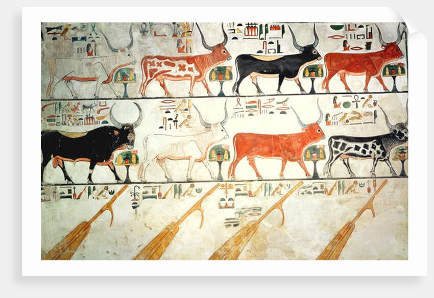 The seven celestial cows and the sacred bull and the four rudders of heaven by Egyptian 19th Dynasty