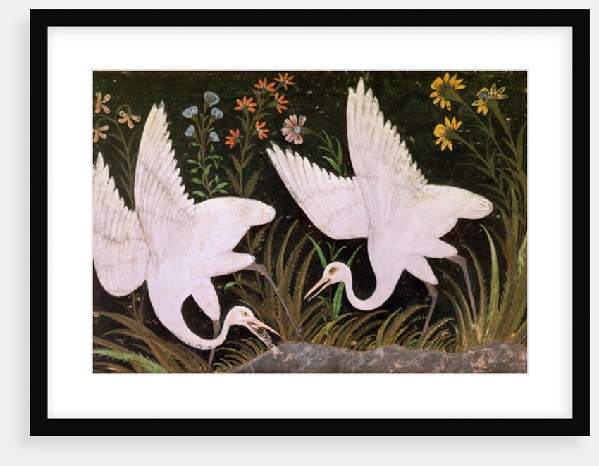 Two Cranes on the Edge of a Pond by Indian School