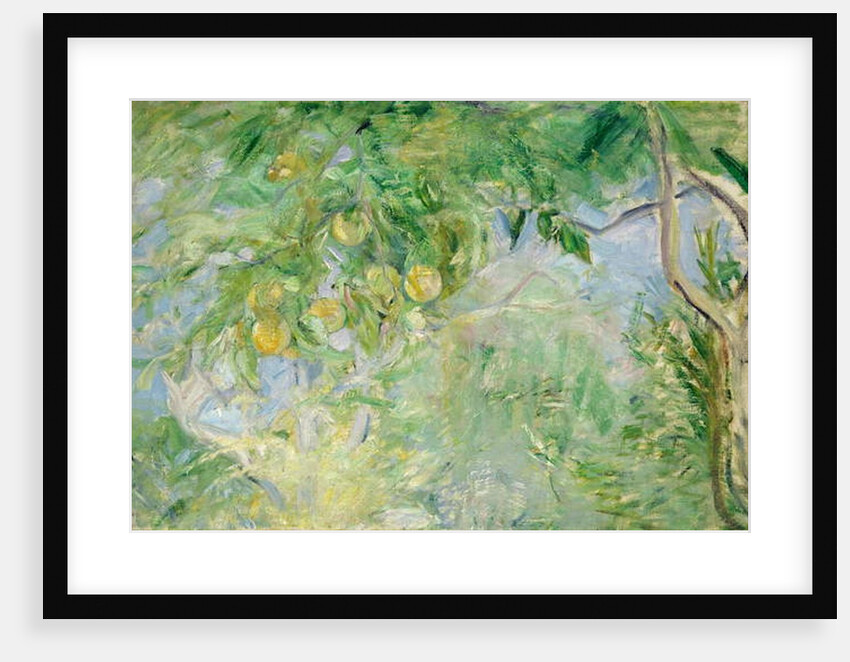 Orange Tree Branches, 1889 by Berthe Morisot