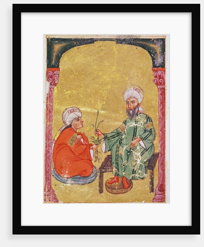 Ahmet III, 2127 Illustration from 'De Materia Medica' by Dioscorides by Mesopotamian