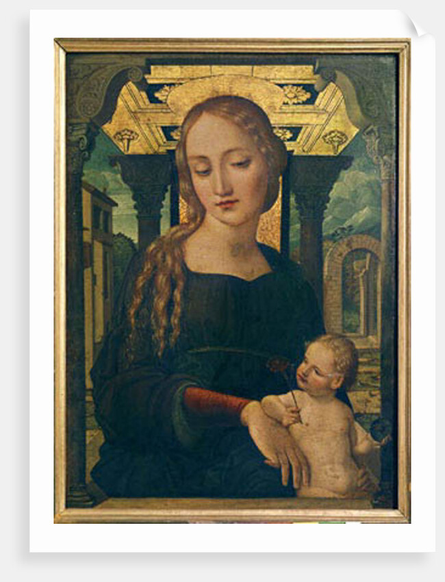 Virgin and Child by Spanish School