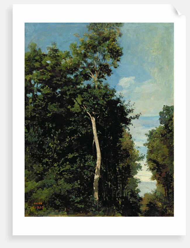 The Wood on the Cote de Grace in Honfleur by Jean Baptiste Camille Corot