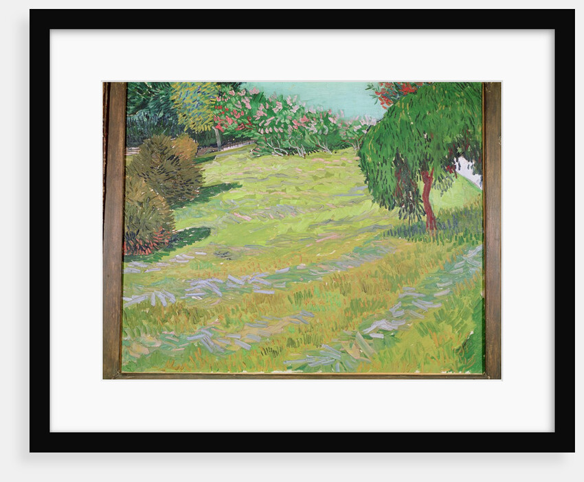 Field with Weeping Willow, 1888 by Vincent van Gogh