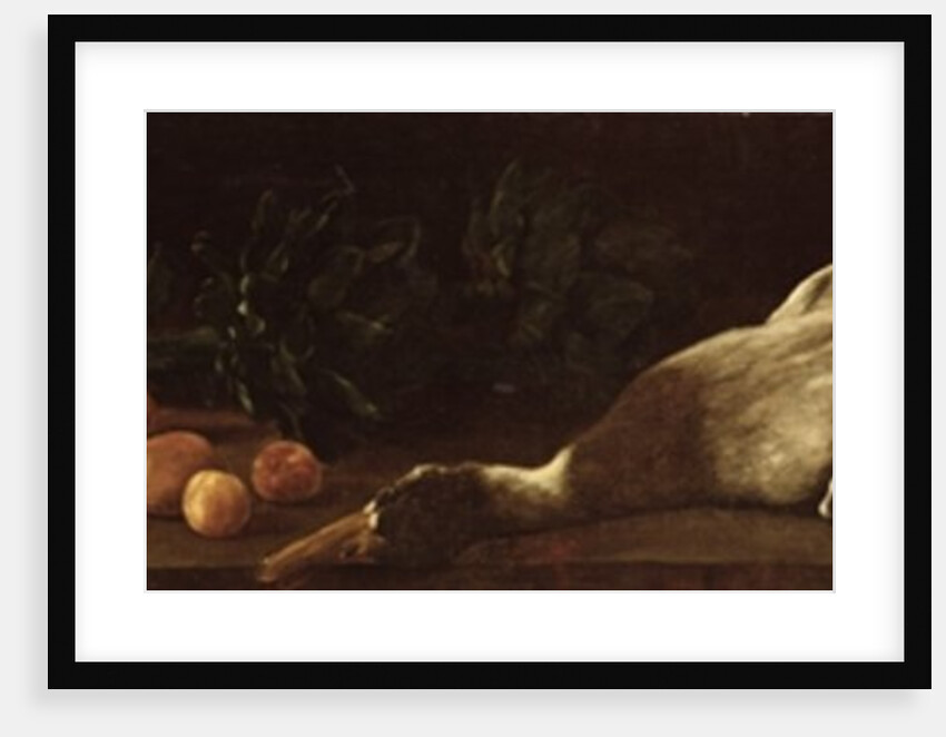 Still Life with a Duck, 1863 by Francois Bonvin