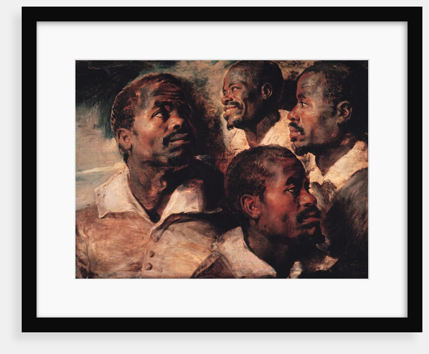 Studies of the Head of a Negro by Peter Paul Rubens