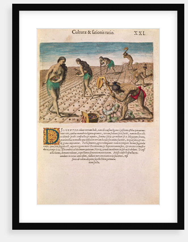 Florida Indians planting maize by Th. after Le Moyne J.(de Morgues) (1533-88) Bry