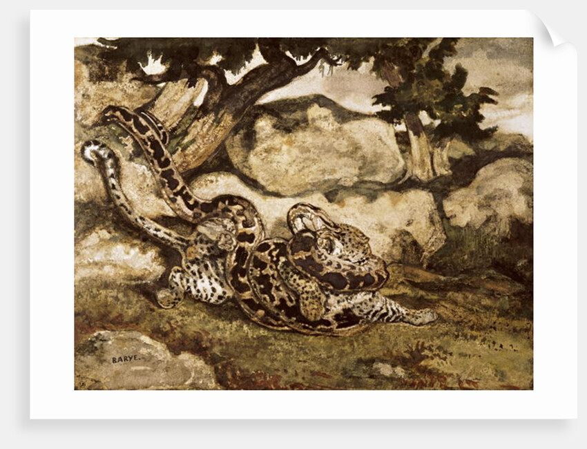 A Python Killing a Tiger by Antoine Louis Barye