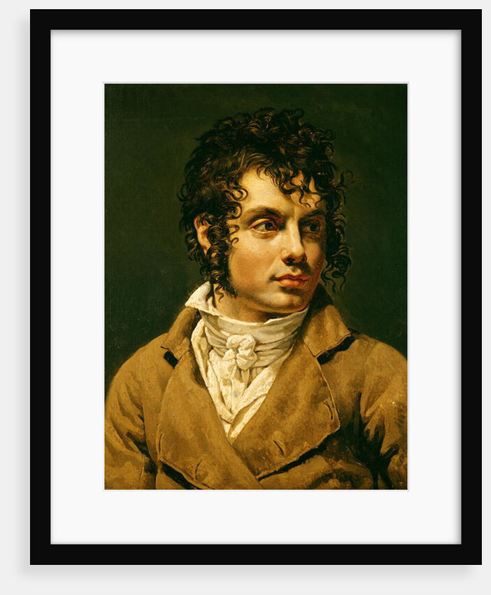 Portrait of a Man by Anne Louis Girodet de Roucy-Trioson