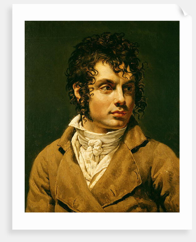 Portrait of a Man by Anne Louis Girodet de Roucy-Trioson