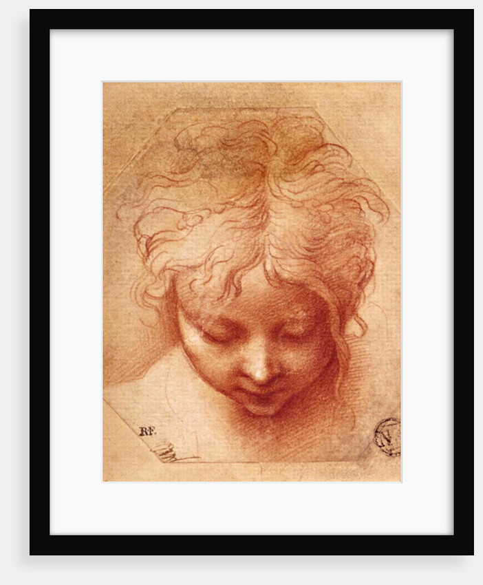 Study of a Head by Parmigianino