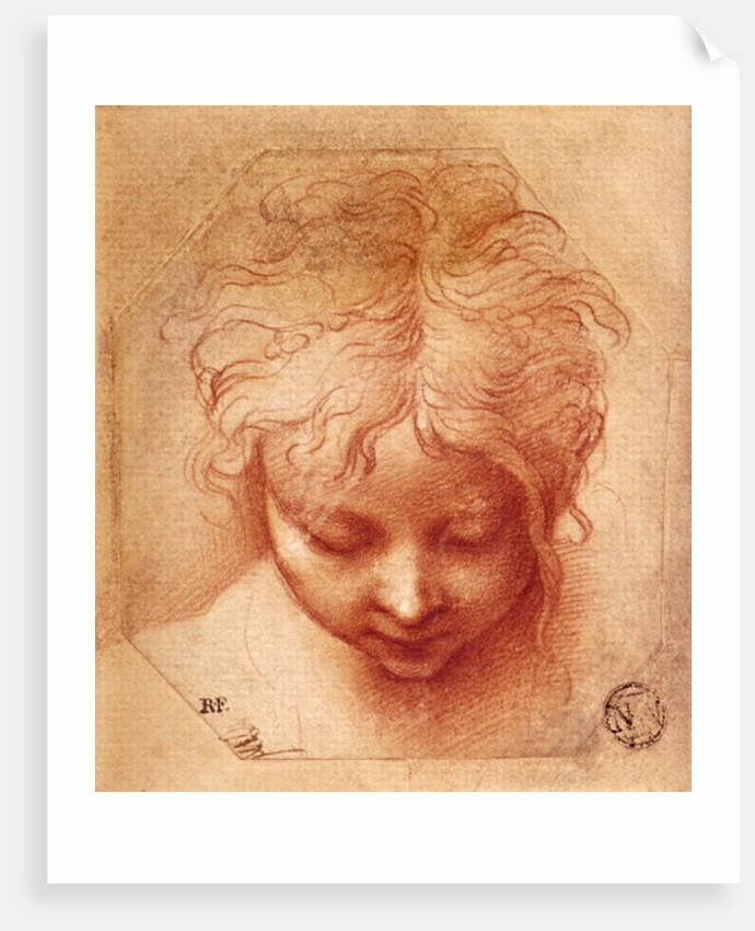 Study of a Head by Parmigianino
