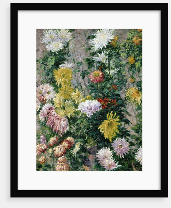 White and Yellow Chrysanthemums, 1893 by Gustave Caillebotte