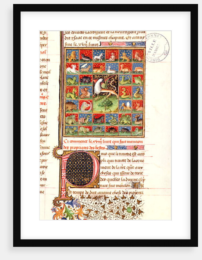 The Properties of Animals by French School