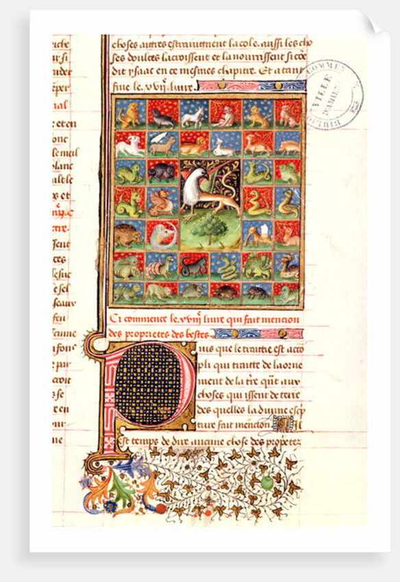 The Properties of Animals by French School