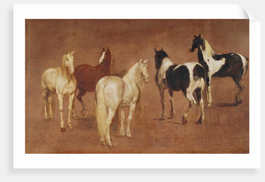 Study of Five Horses by Adam Frans van der Meulen
