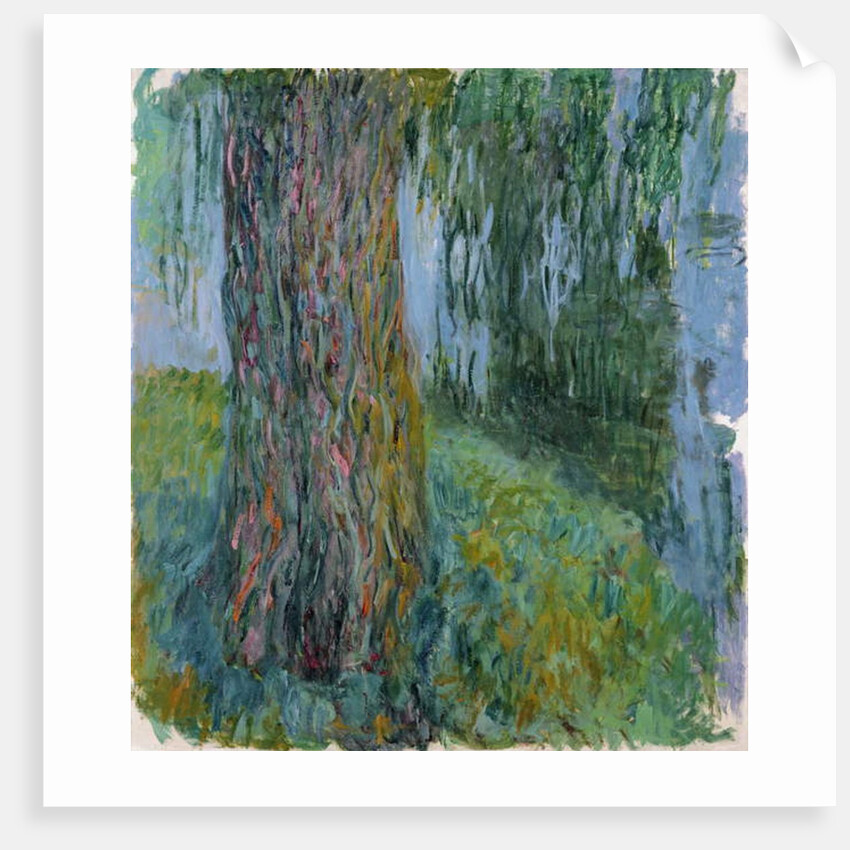Weeping Willow and the Waterlily Pond, 1916-19 by Claude Monet