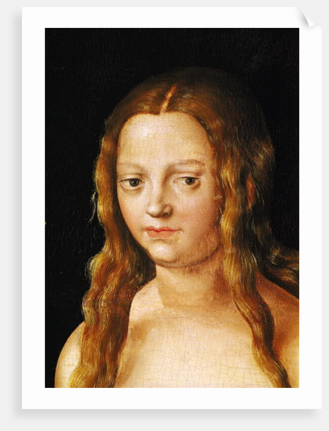Adam and Eve, detail of Eve's head by Lucas the Elder Cranach
