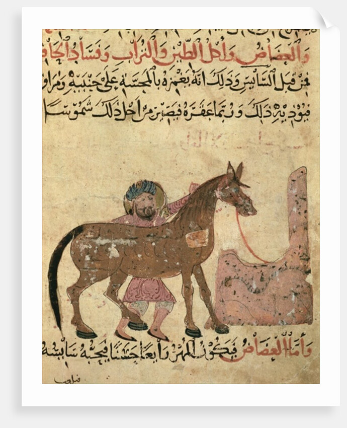 Caring for the horse by Islamic School