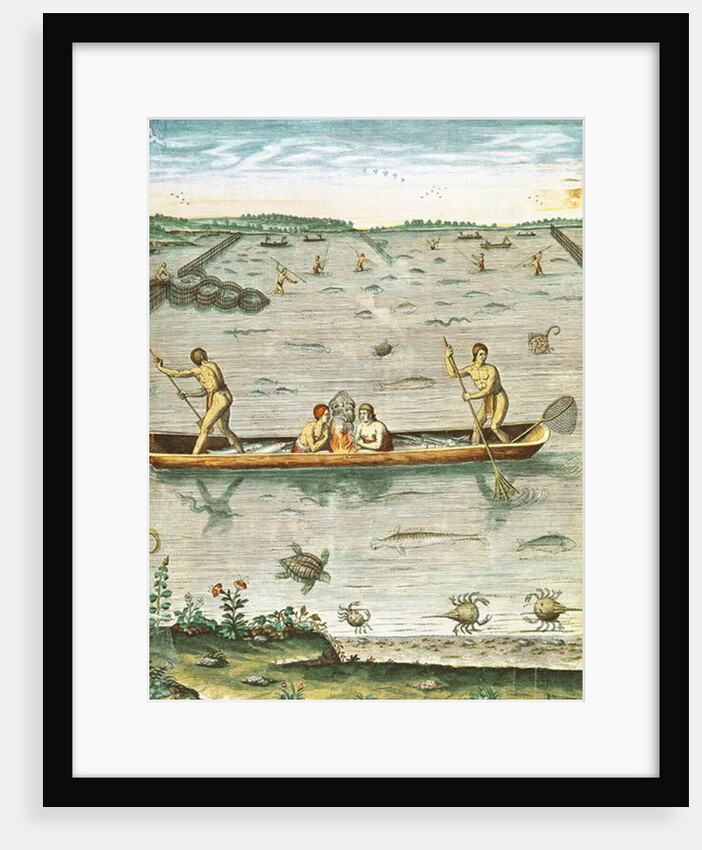 How the Indians Catch their Fish by John (after) White