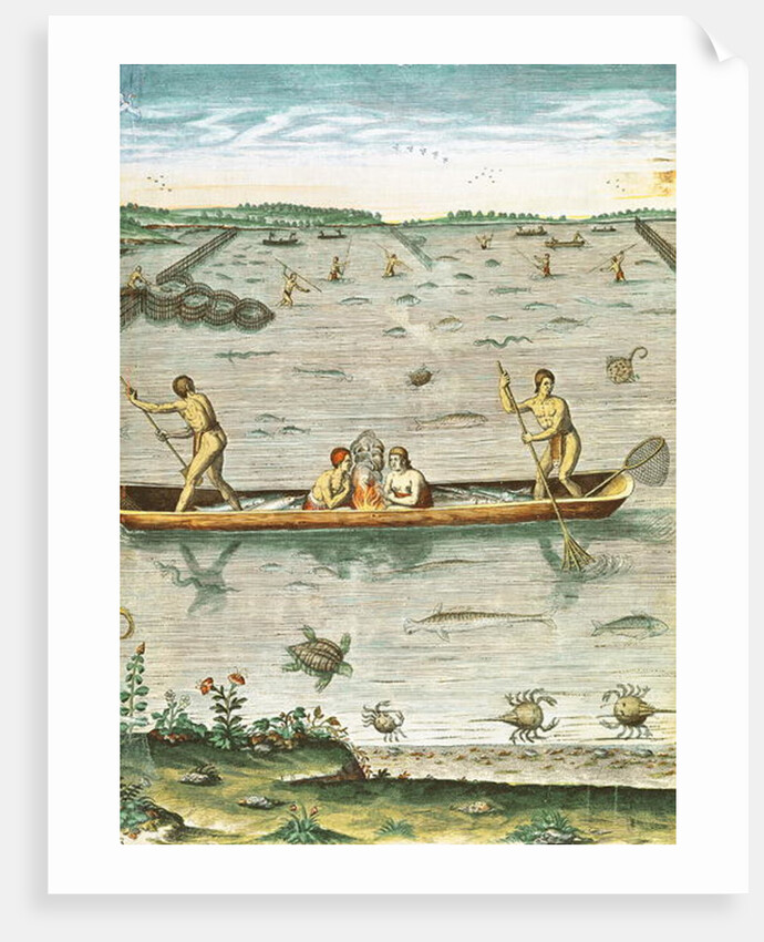 How the Indians Catch their Fish by John (after) White