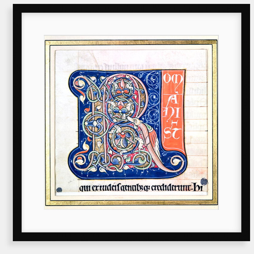 Historiated initial 'R' depicting an interlacing pattern with fantastical animals by French School