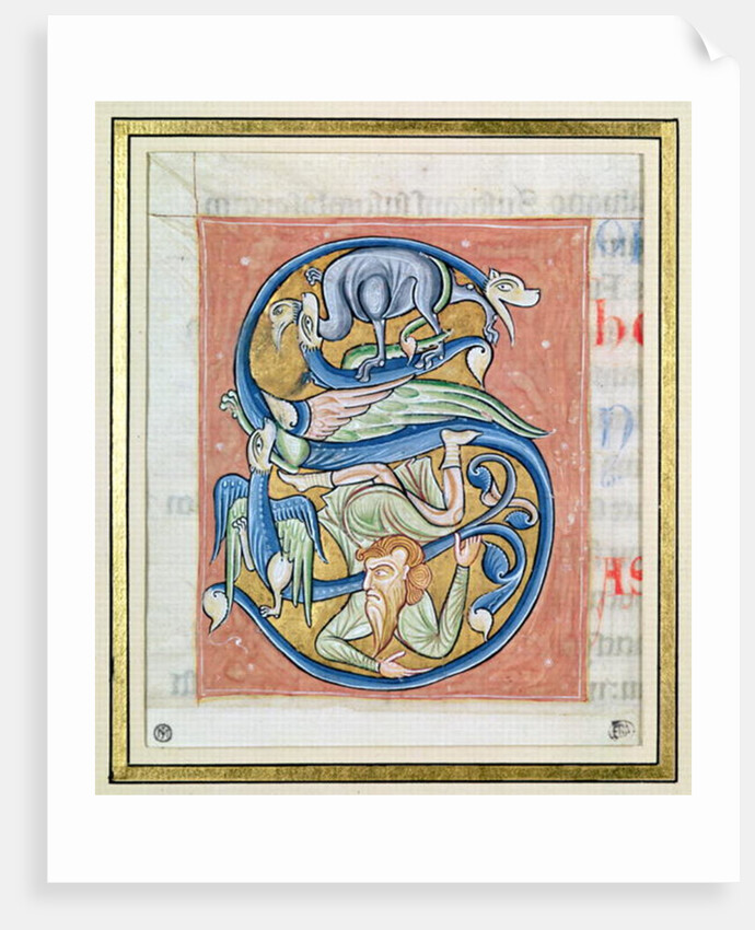 Historiated initial 'S' depicting an acrobat and fantastical animals by French School