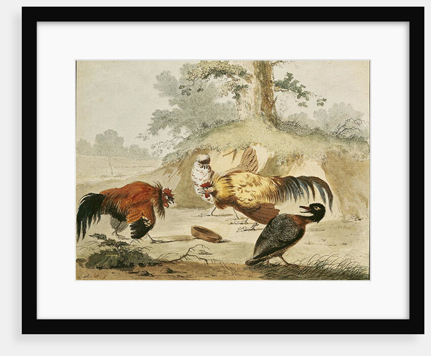 Cocks Fighting by Melchior de Hondecoeter