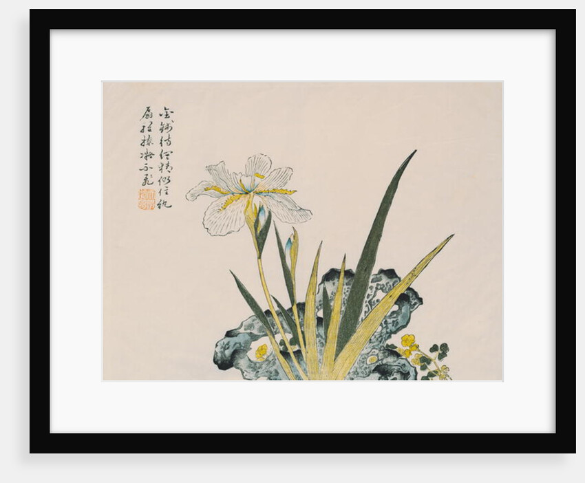 The Garden as Big as a Grain of Mustard, 17th-18th century by School Chinese