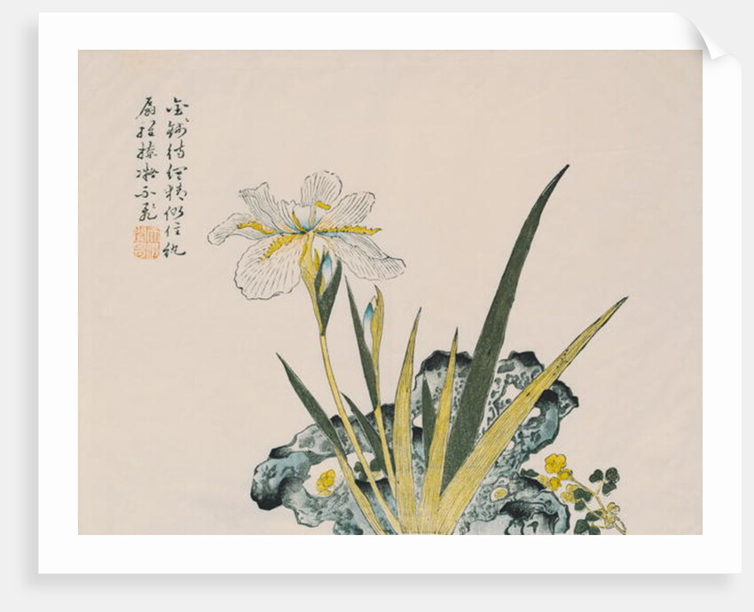 The Garden as Big as a Grain of Mustard, 17th-18th century by School Chinese