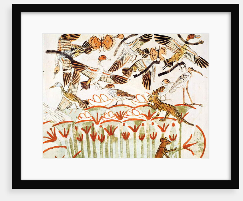 Fishing and fowling in the marshes, detail of the birds by Egyptian 18th Dynasty