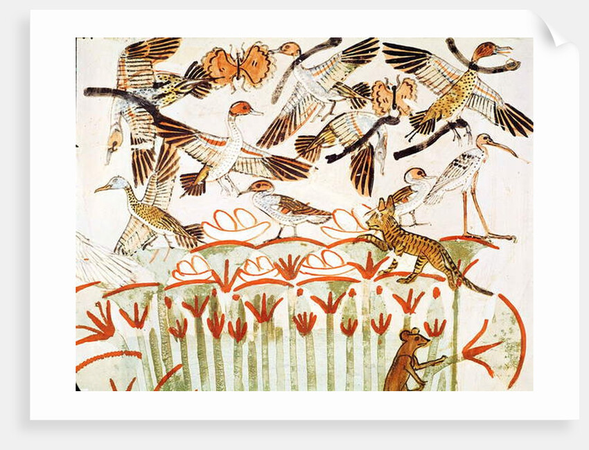 Fishing and fowling in the marshes, detail of the birds by Egyptian 18th Dynasty