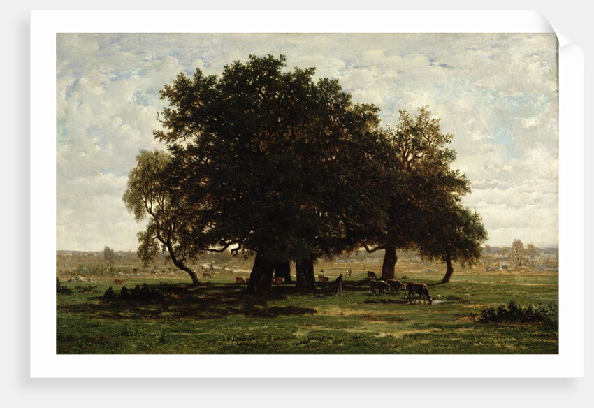 Holm Oaks, Apremont, 1850-52 by Pierre Etienne Theodore Rousseau