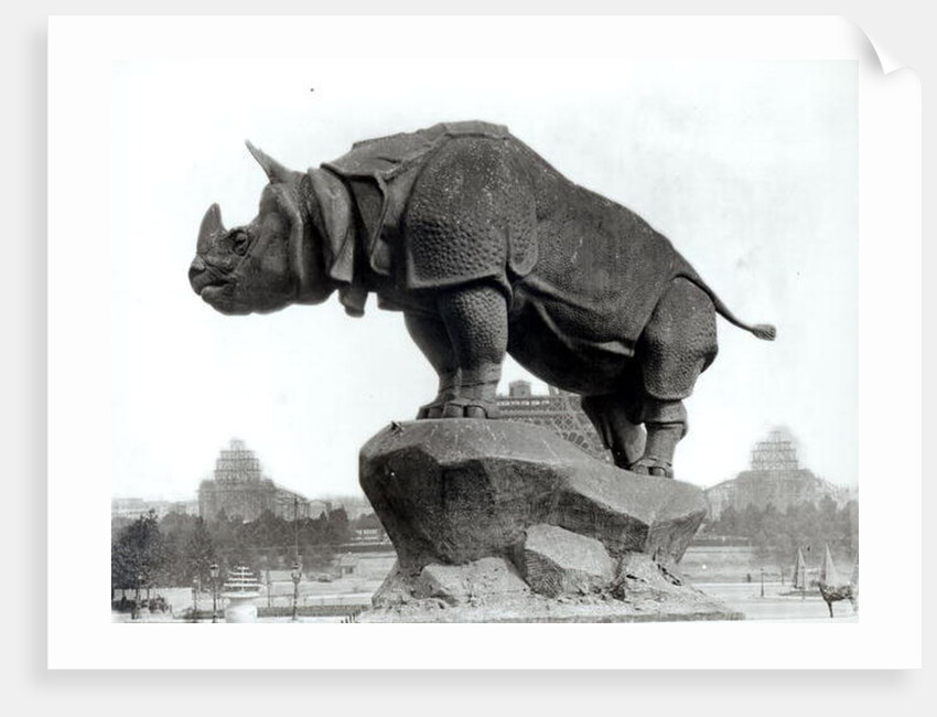 Rhinoceros, 1878 by Adolphe Giraudon