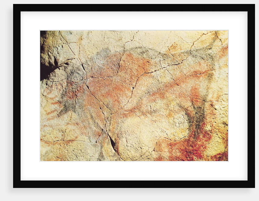 Bison by Prehistoric Prehistoric