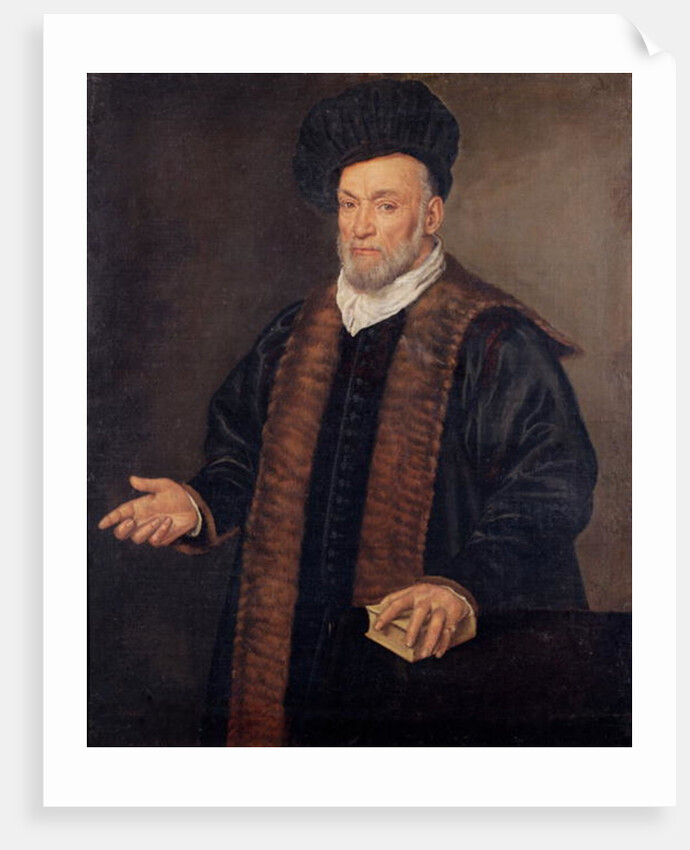 Portrait of a Doctor by Francesco Montemezzano
