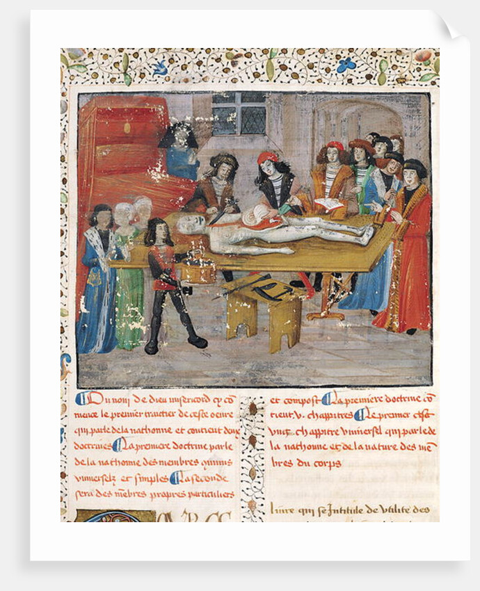 Dissection lesson at the Faculty of Medicine in Montpellier by French School