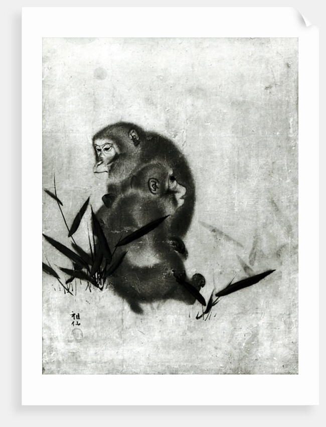 Monkeys by Sosen Mori