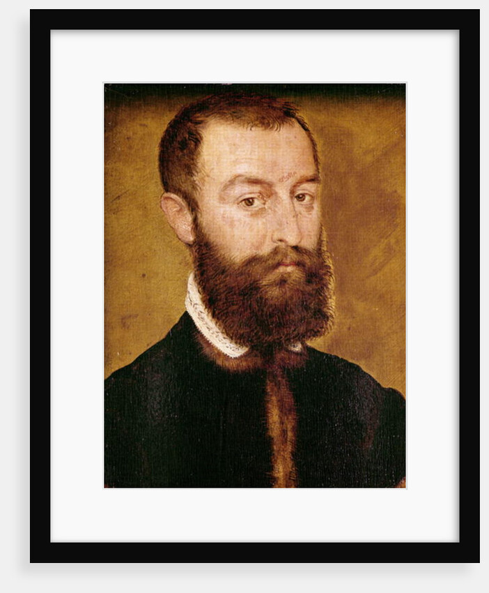 Portrait of a Man with a Beard or, Portrait of a Man with Brown Hair by Corneille de Lyon
