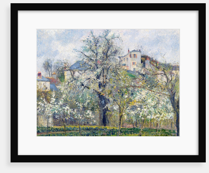 The Vegetable Garden with Trees in Blossom, Spring, Pontoise, 1877 by Camille Pissarro