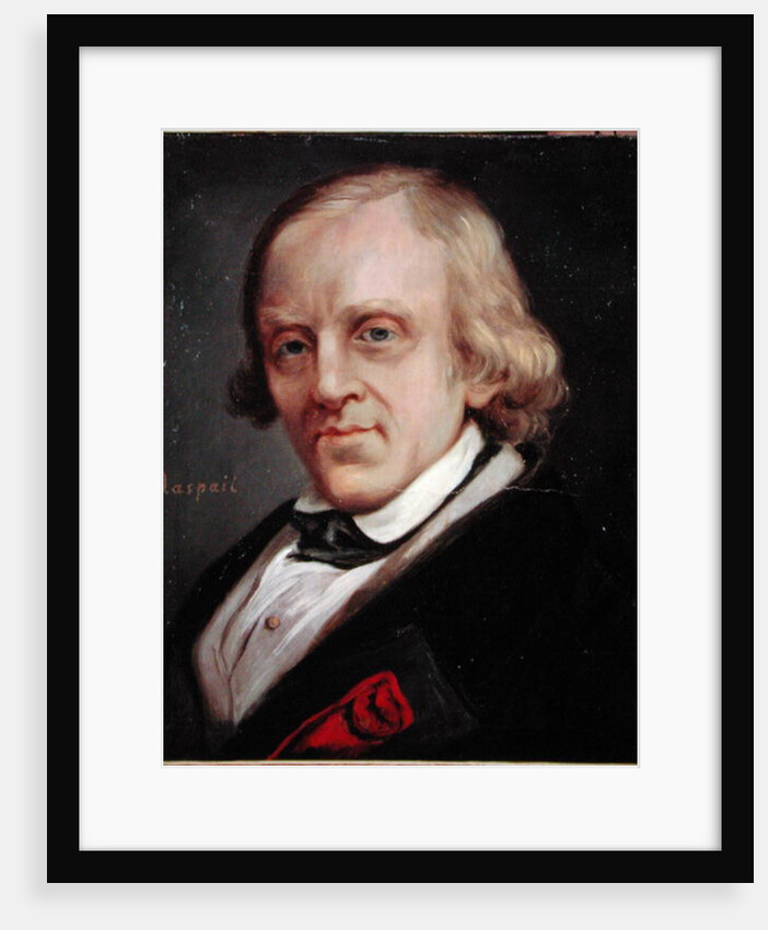 Francois Vincent Raspail 1849 by Denis Bonnet