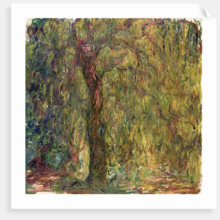 Weeping Willow, 1918-19 by Claude Monet