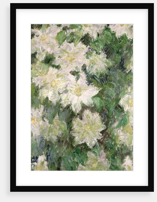 White Clematis, 1887 by Claude Monet