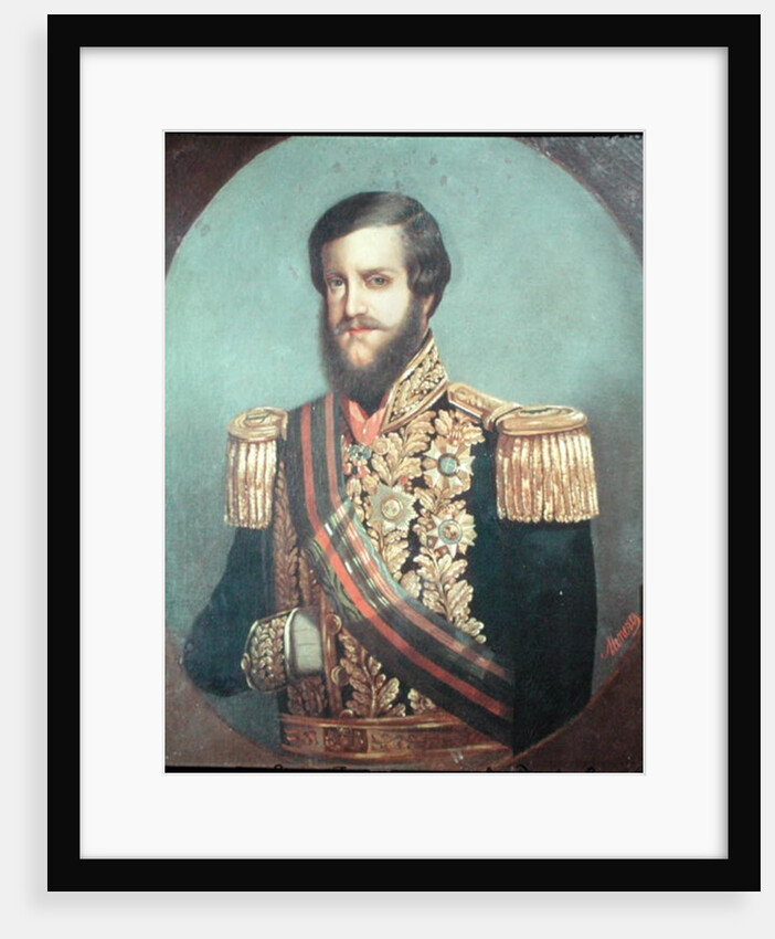 Pedro II Emperor of Brazil by Luis de Miranda Pereira Visconde de Menezes