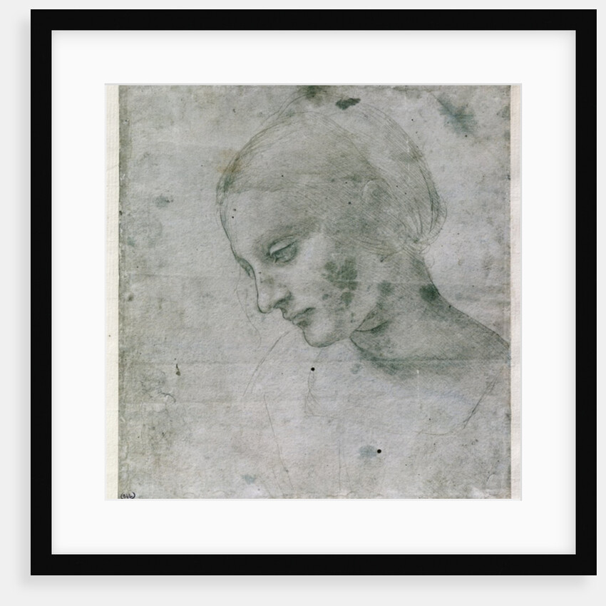 Head of a Young Woman or Head of the Virgin, c.1490 by Leonardo da Vinci