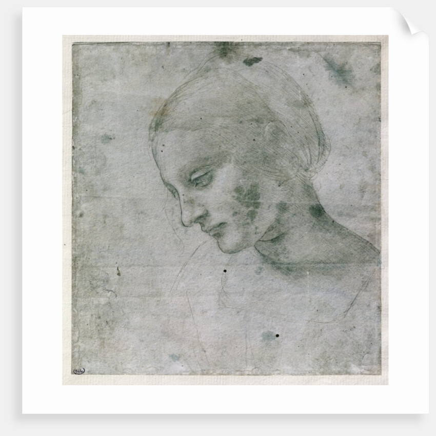 Head of a Young Woman or Head of the Virgin, c.1490 by Leonardo da Vinci