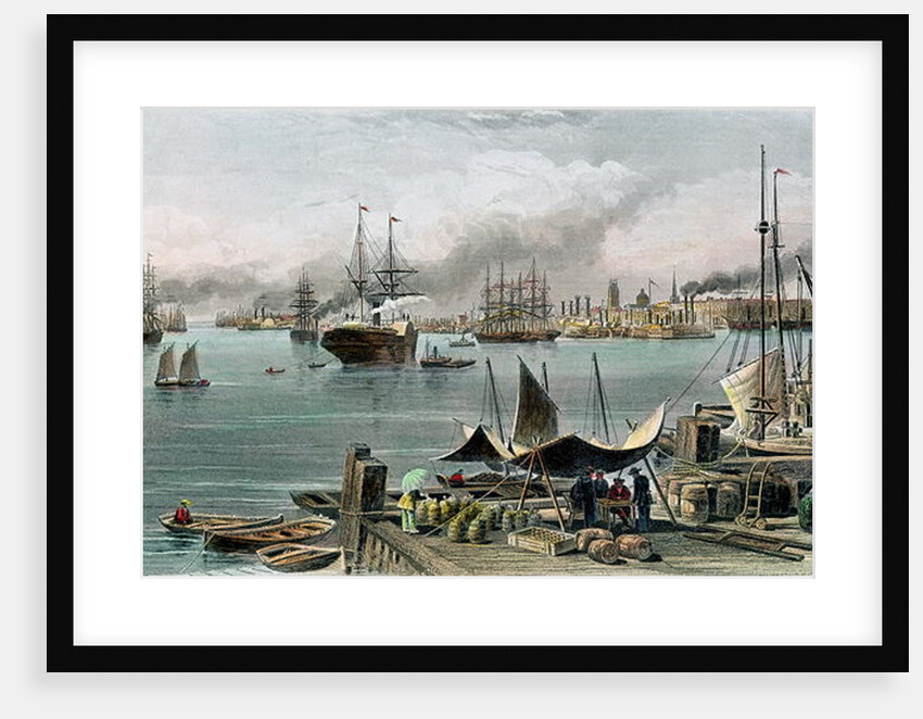 Port of New Orleans, 1873 by Alfred Rudolph Waud