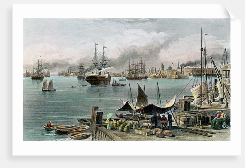 Port of New Orleans, 1873 by Alfred Rudolph Waud