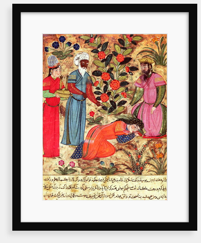 Fol.101 A Woman Beseeching the Sultan by Islamic School