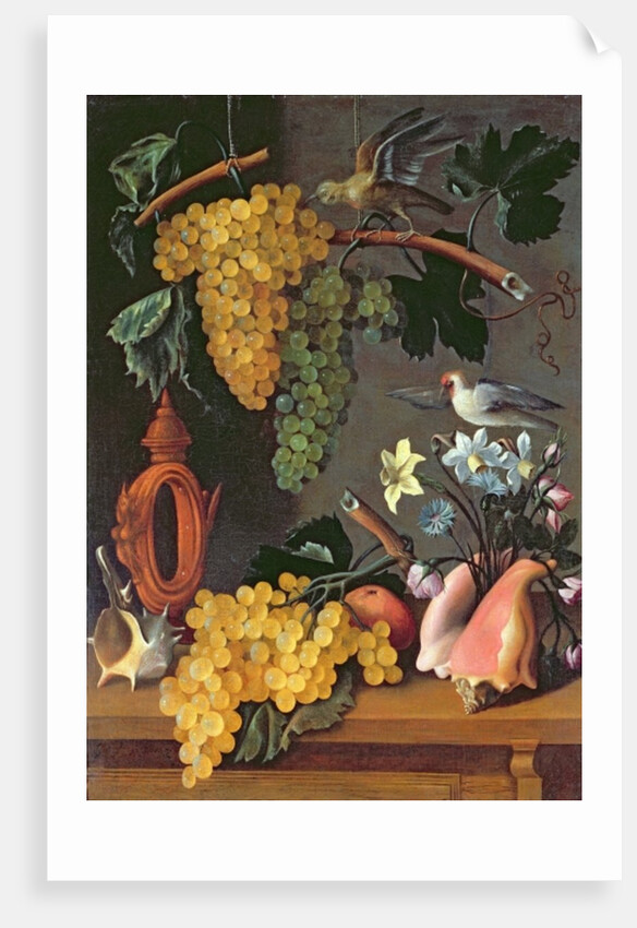 Still Life with Grapes, Birds, Flowers and Shells by Juan de Espinosa