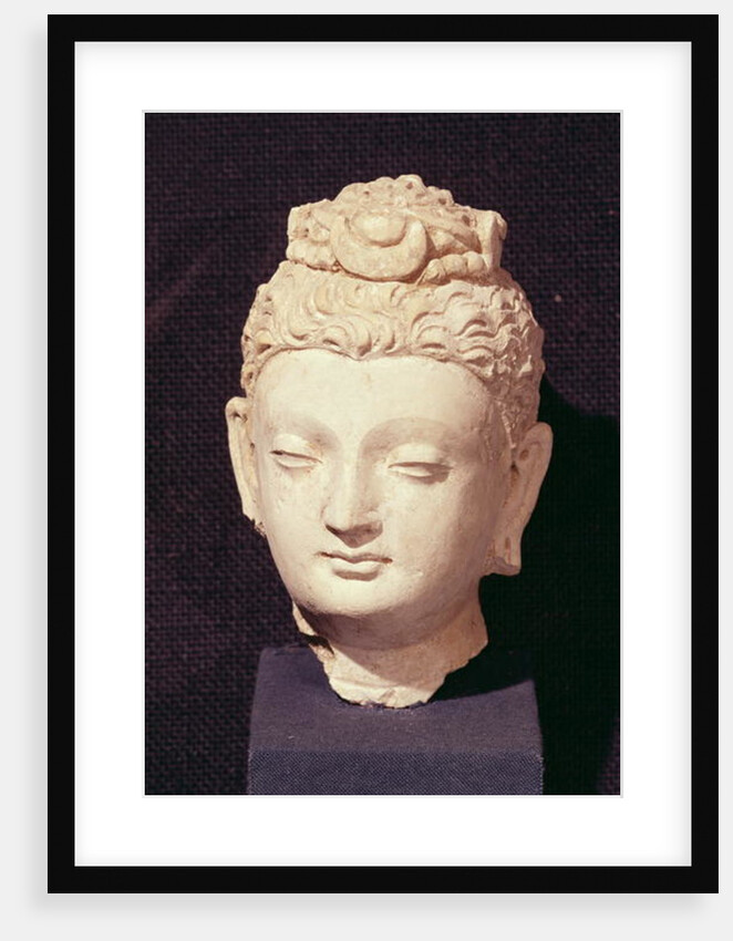 Head of a Buddha, Greco-Buddhist style, from Hadda by Afghan School